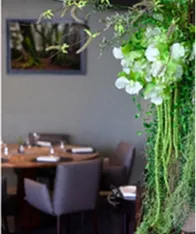 Salle du restaurant La Table de Jérôme décorée de plantes