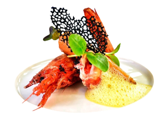 Assiette gastronomique avec langoustine, sauce et garniture élégante